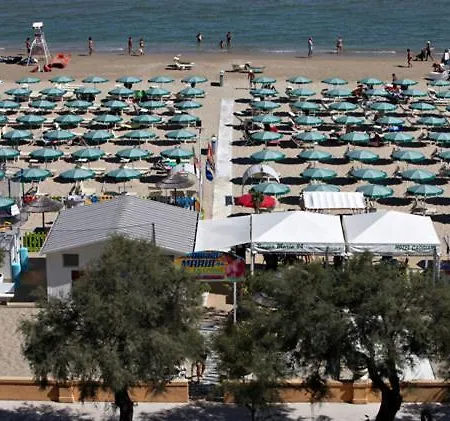 Conchiglia Senigallia