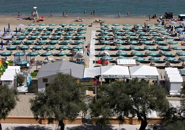 Conchiglia Senigallia